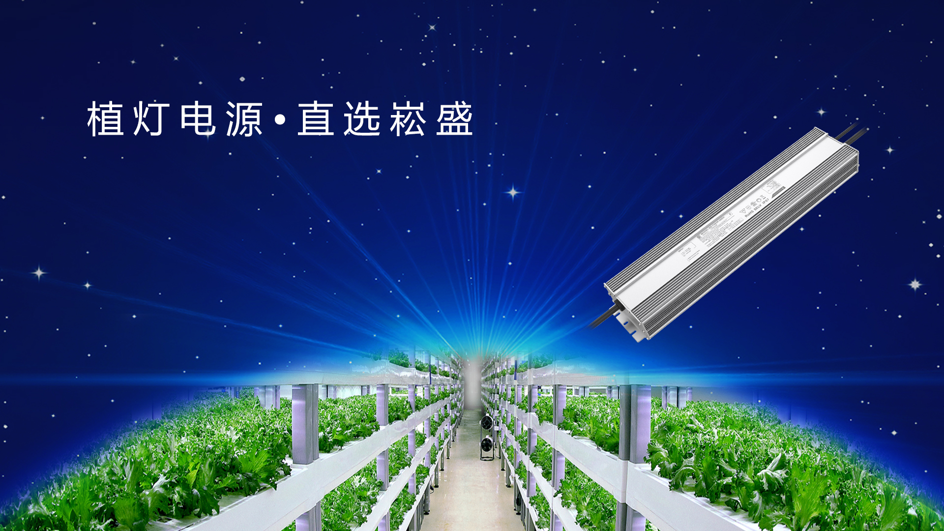 追光而行 ▏做植物照明驱动者，，，，，，让未来农业绽放无限可能